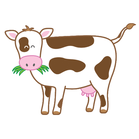 Cow found animation